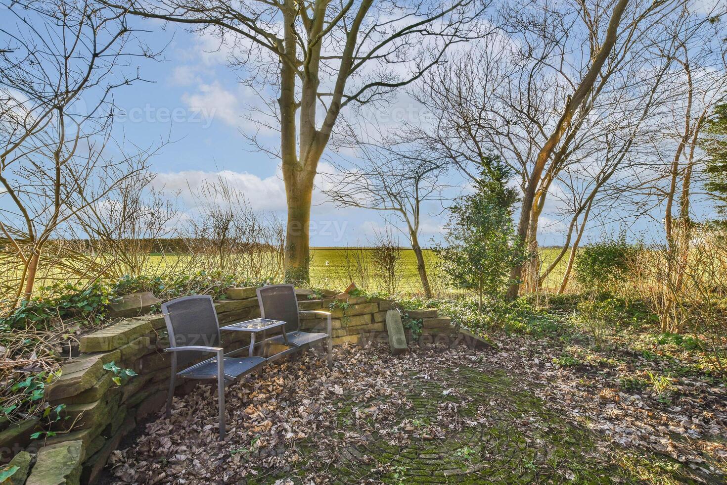 A garden with a bench and trees in the background photo