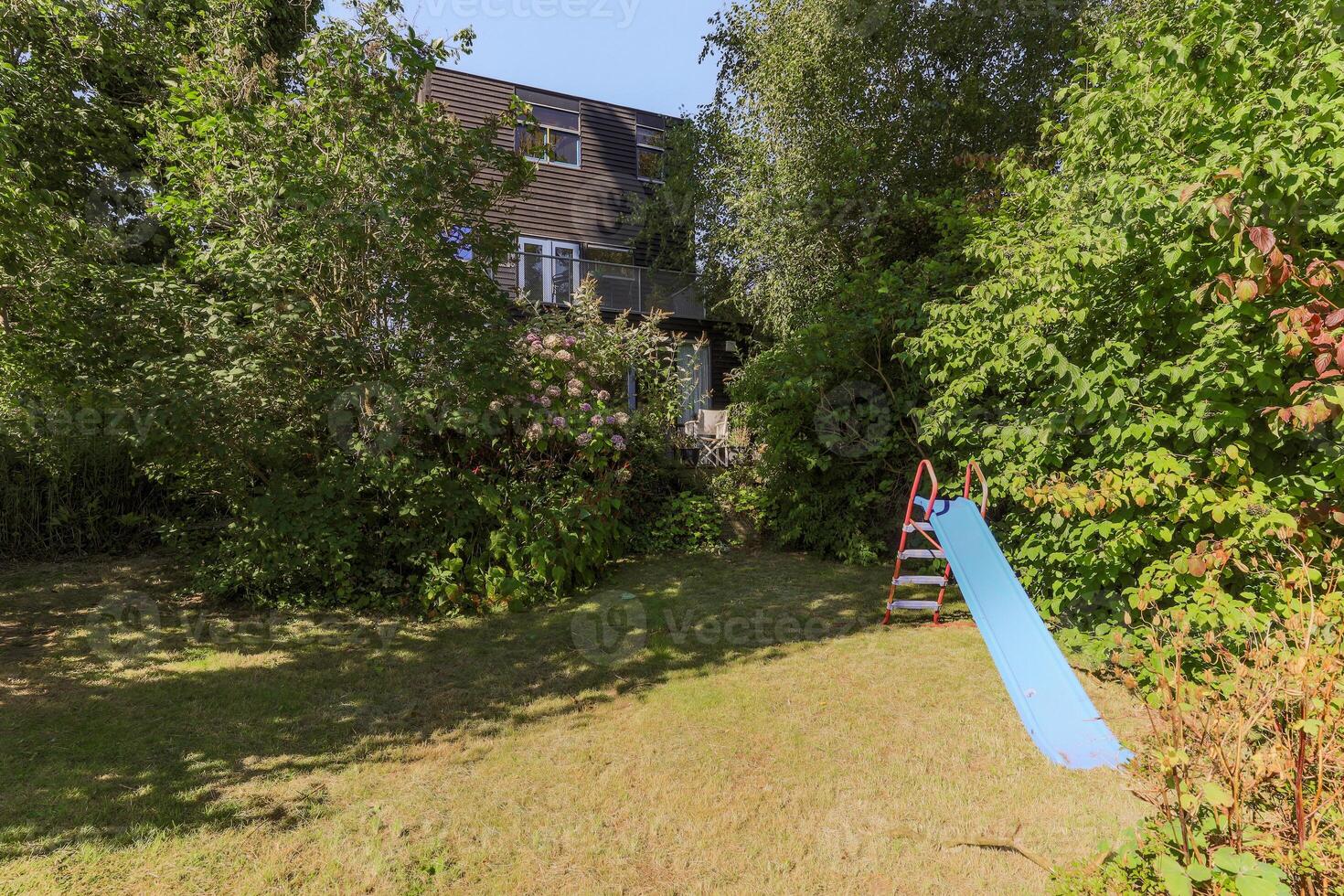 A blue slide in the grass photo