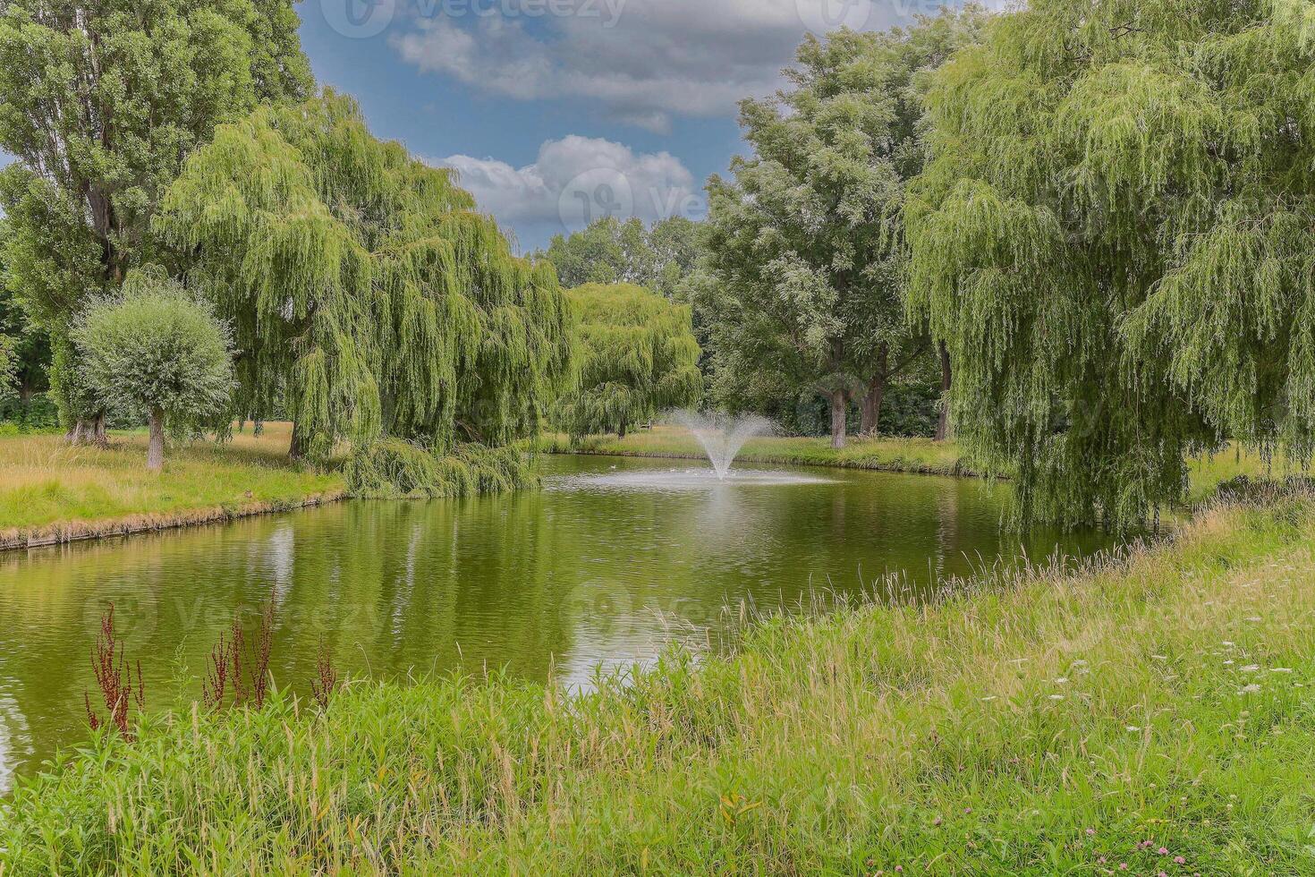 A pond surrounded by trees and grass photo