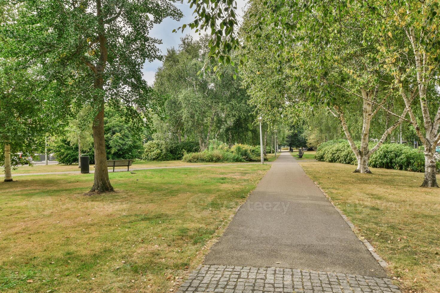 A path in a park with trees and grass photo