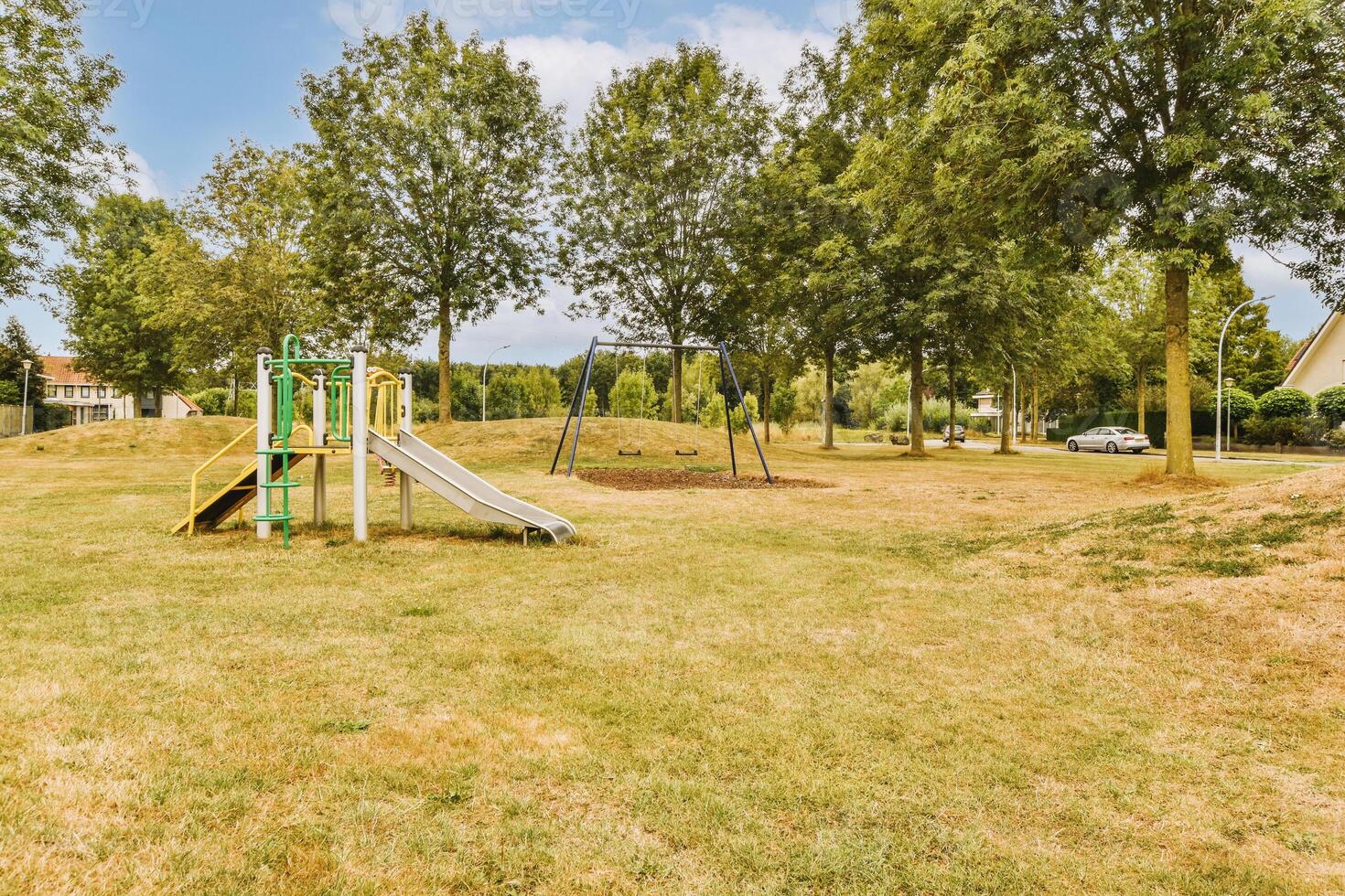 A playground with a slide and a tree photo