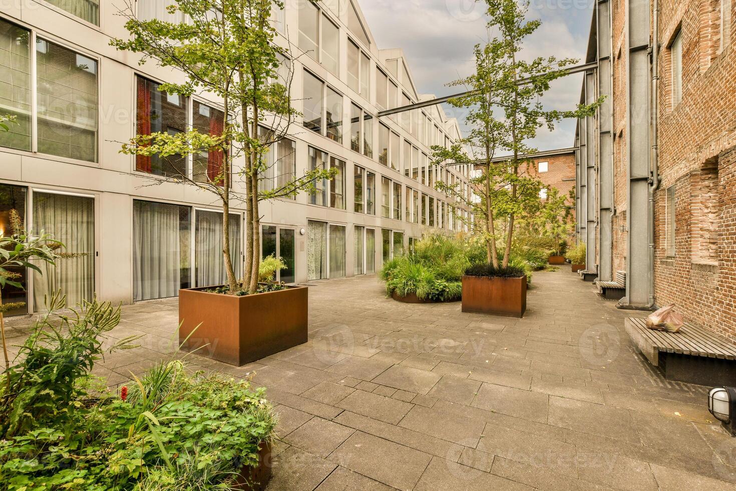 A courtyard with plants and trees in pots photo