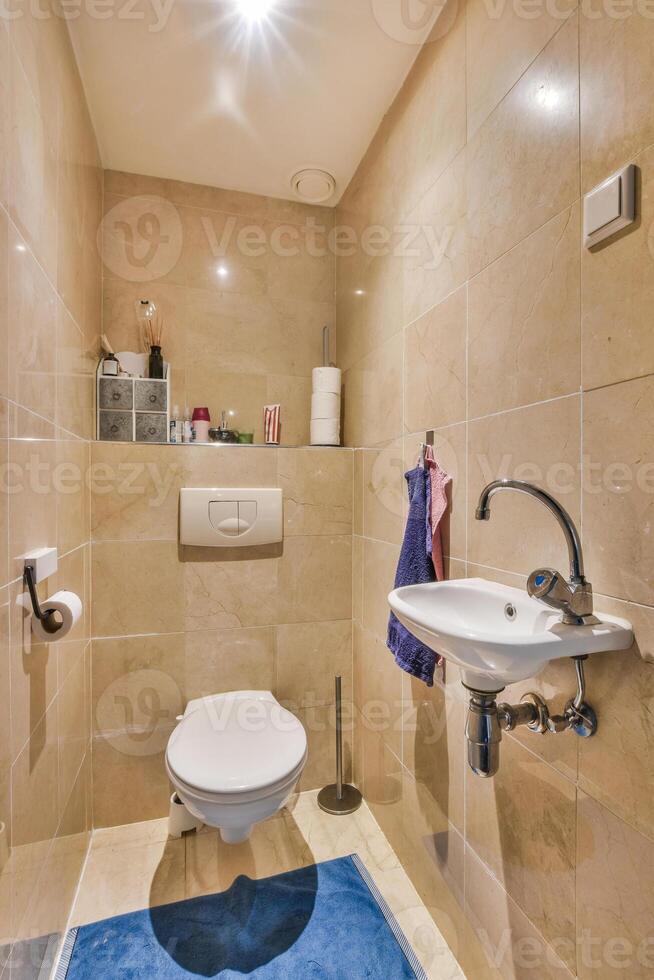 A bathroom with a toilet, sink, and a blue rug photo