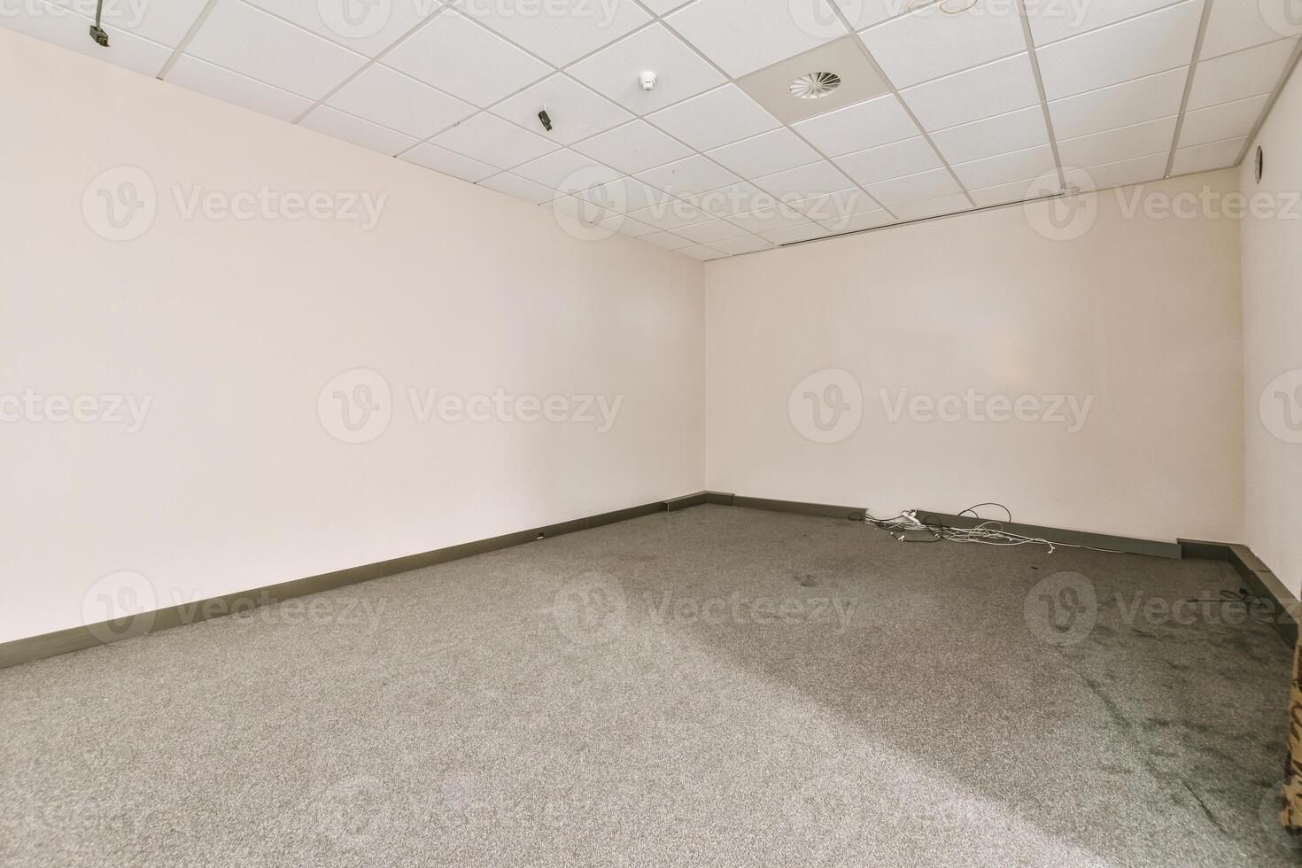 Empty office with carpet and white walls photo