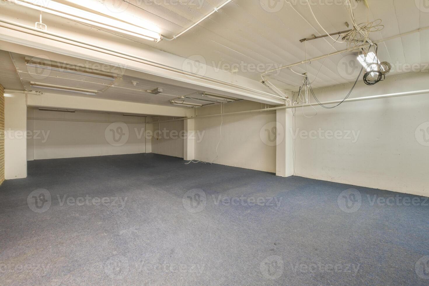An empty room with blue carpet and white walls photo