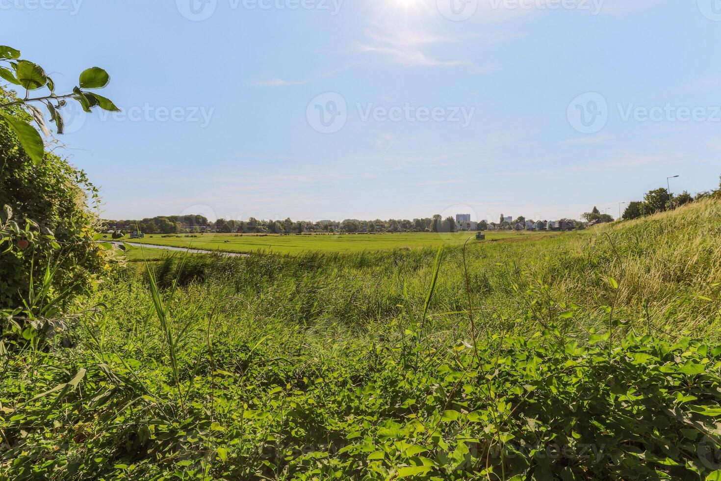 A view of a field with a bench and a fire hydrant photo
