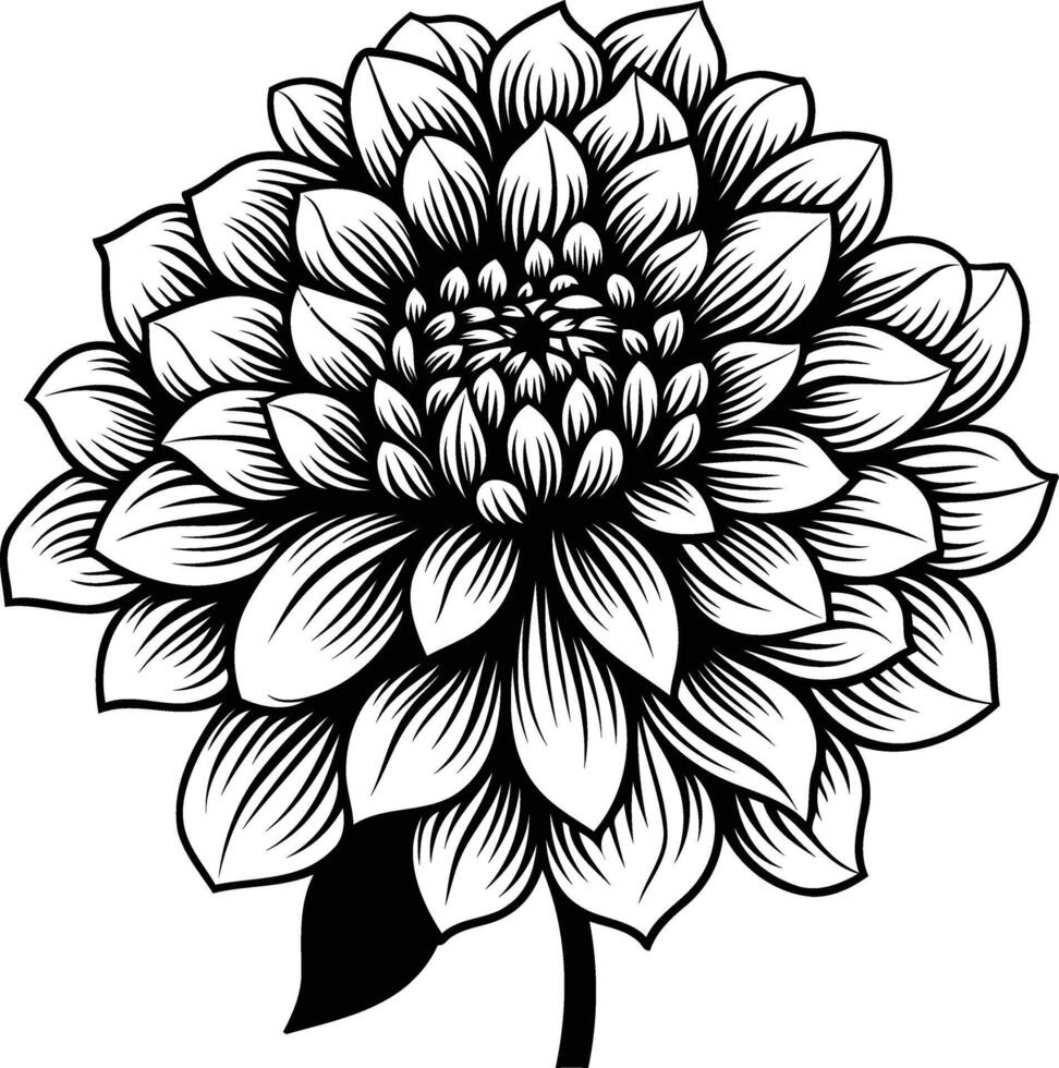 A black and white drawing of a flower vector