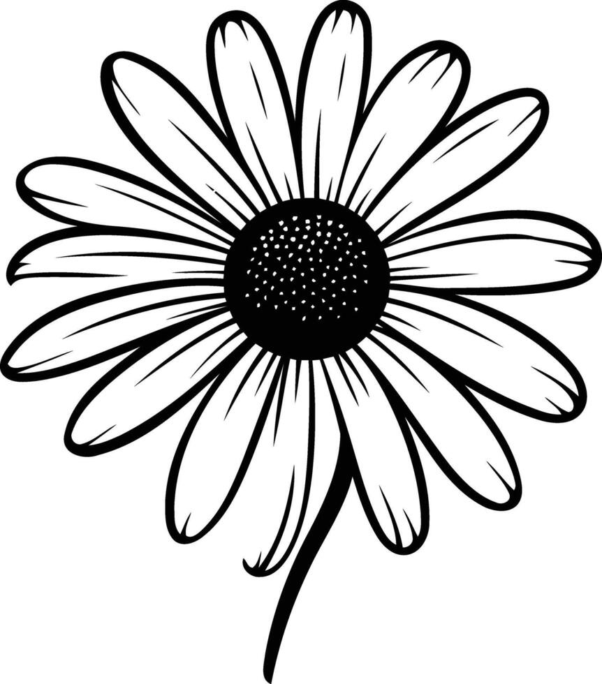 Daisy flower coloring pages vector