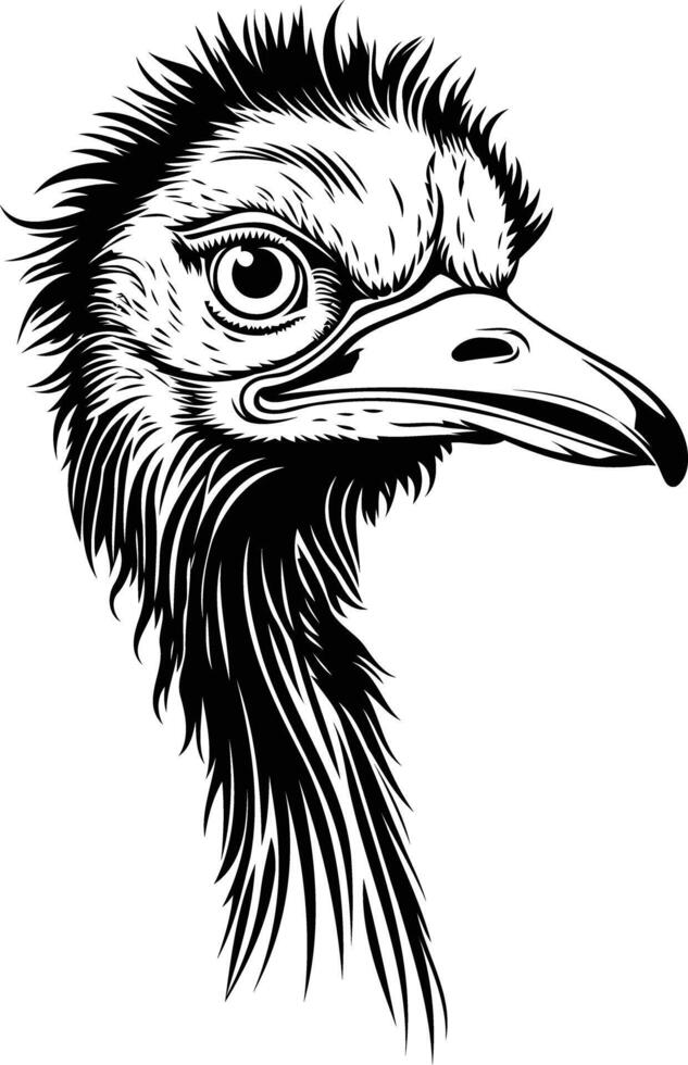 An ostrich head in a black and white drawing vector