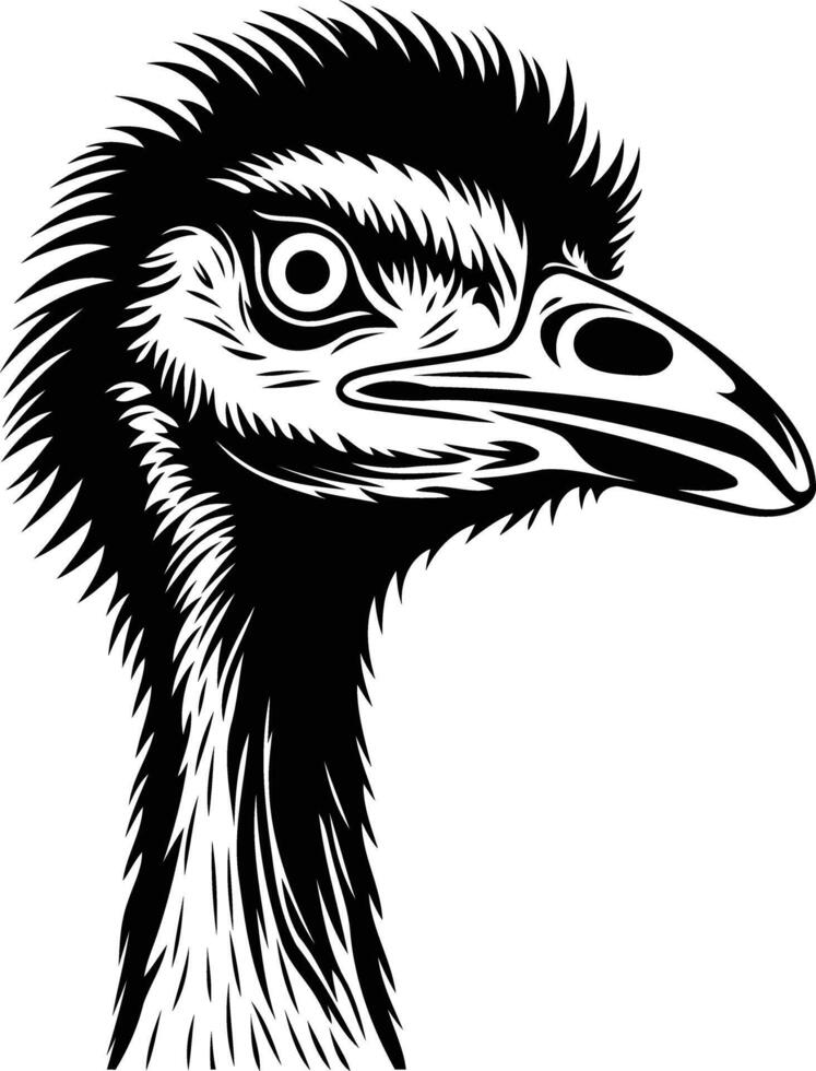 An ostrich head in black and white vector
