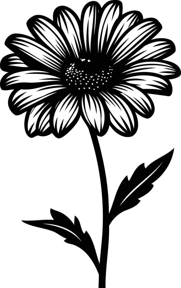 Black and white daisy clipart vector