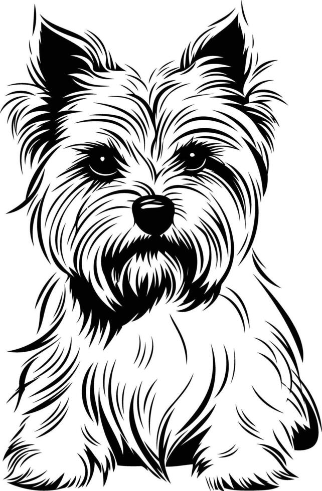 A small dog is sitting on a white background vector