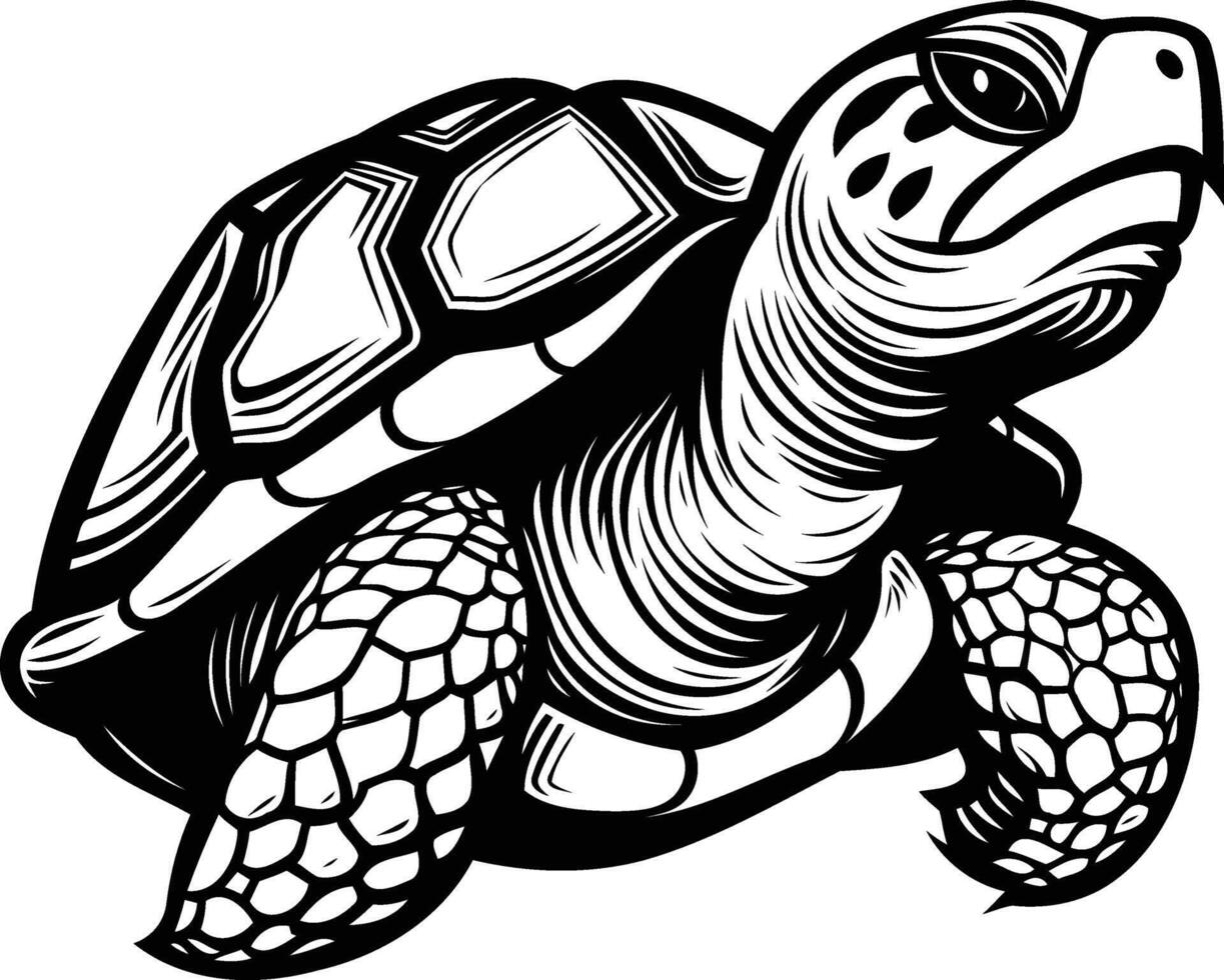 A turtle in a black and white drawing vector