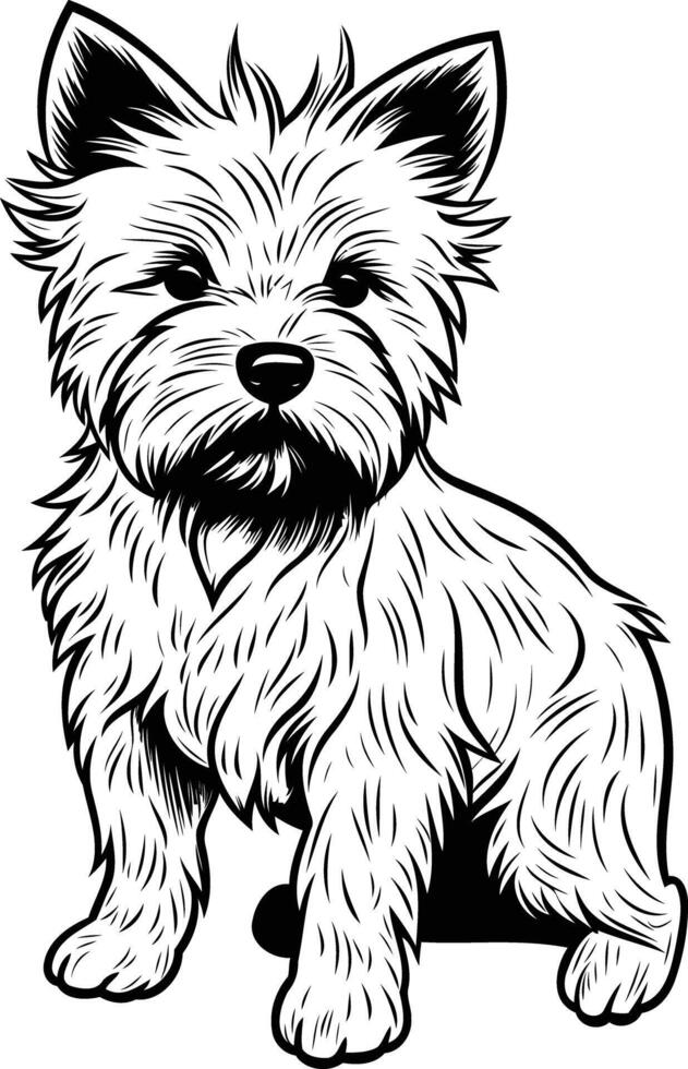 A cute little dog sitting down on a white background vector