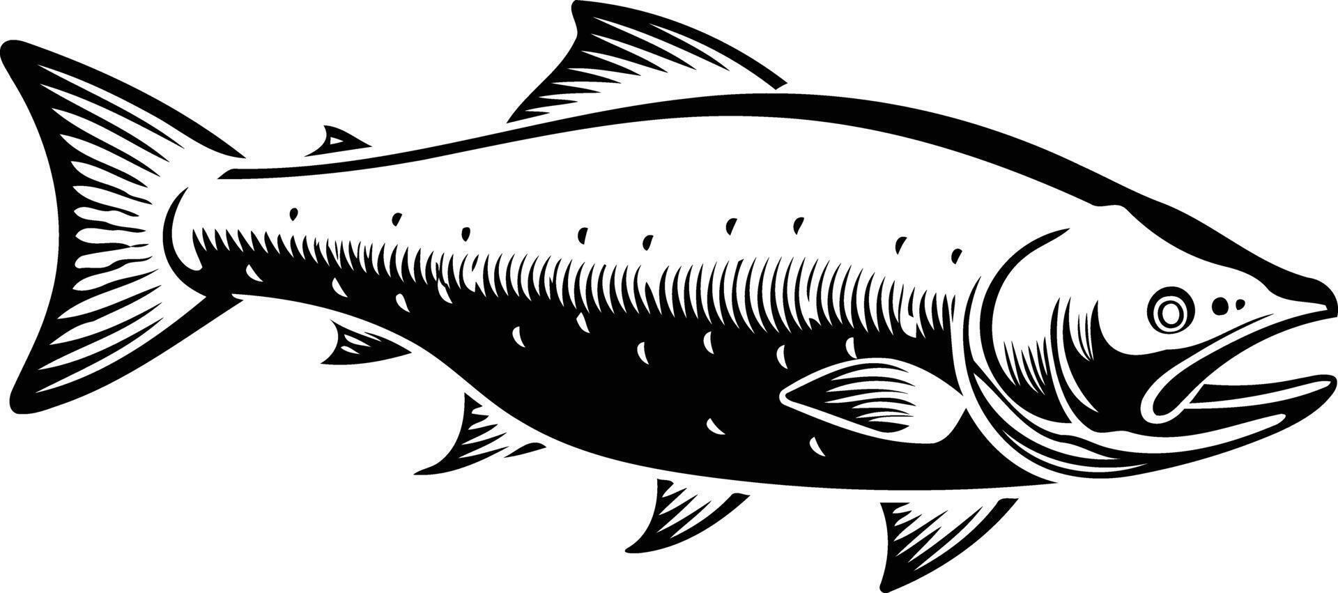 A fish in a black and white drawing vector