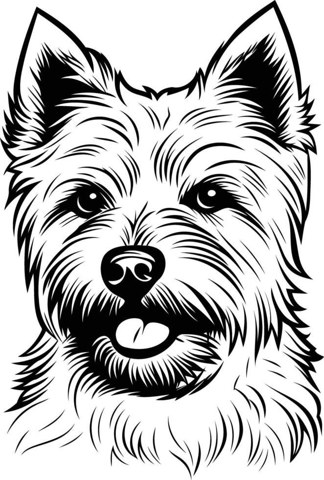 A drawing of a westie dog vector