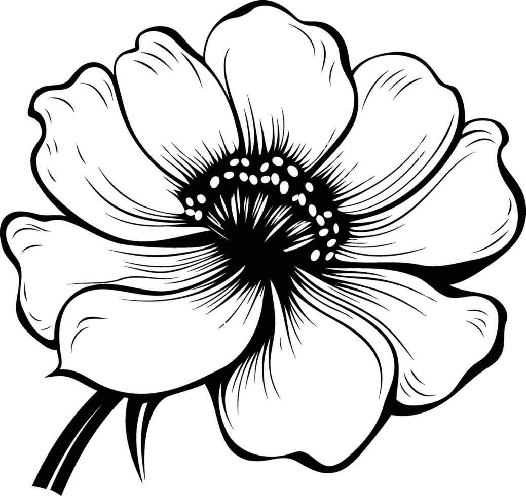 Flower coloring pages free printable vector