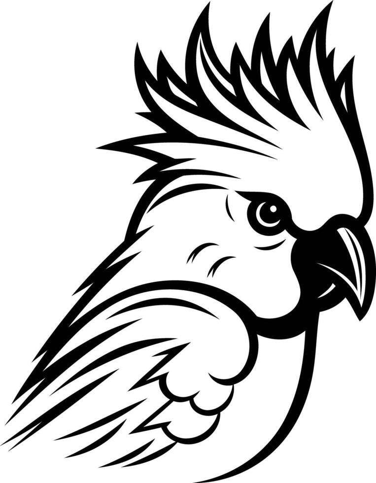 A black and white cockatoo bird on a white background vector