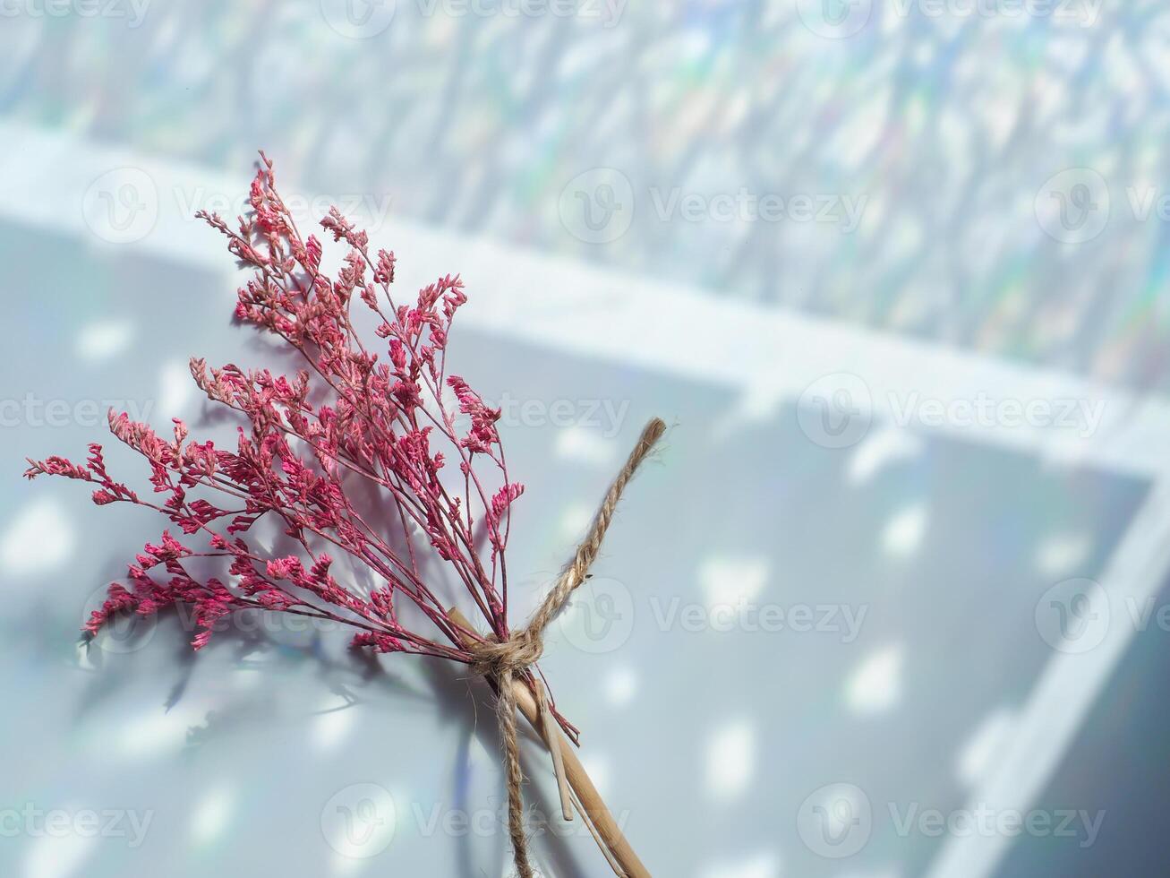 Pink dried flowers on reflection from window for minimalist background photo