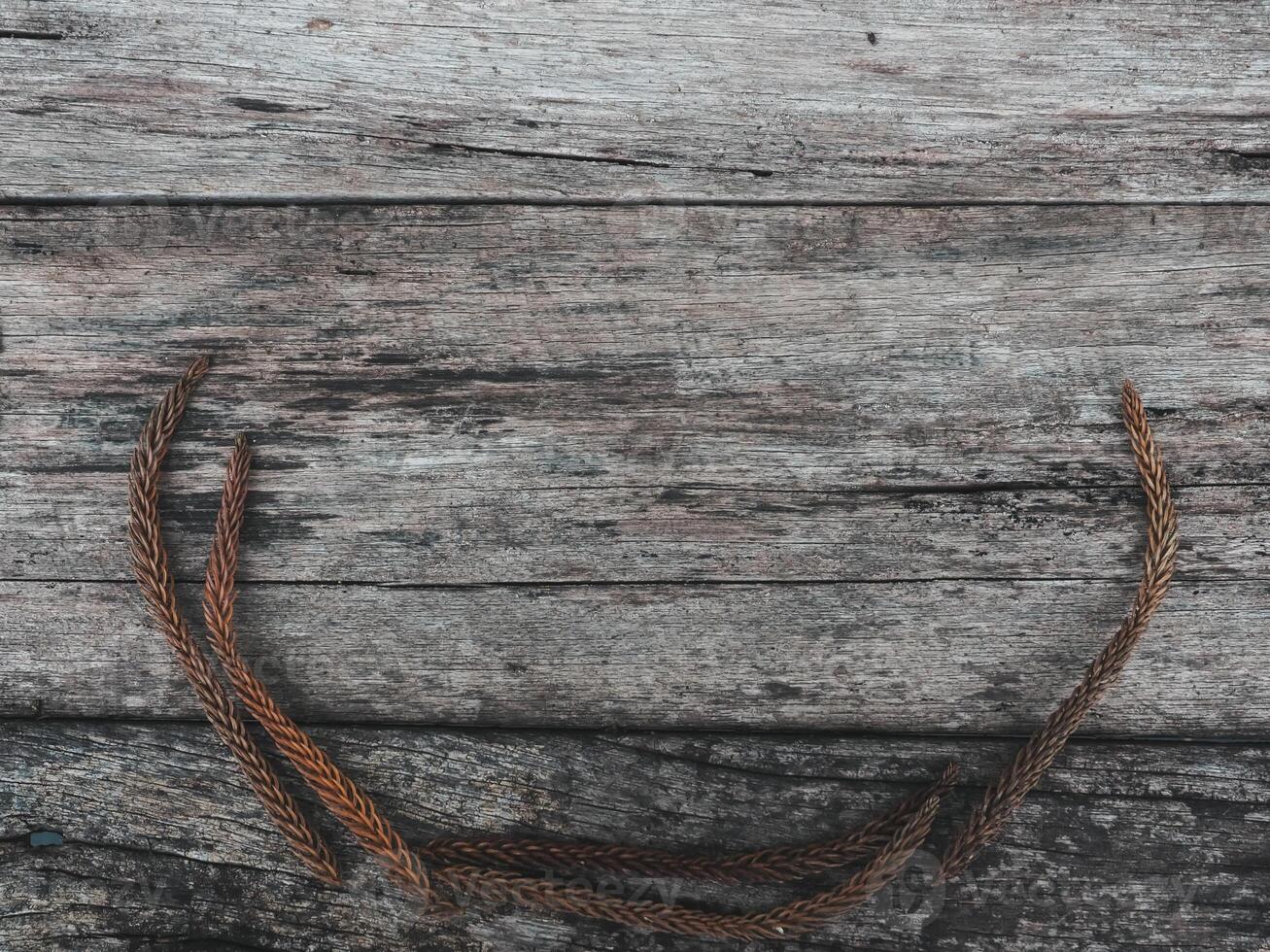 Brown dry pine leaves on old wood for a retro style background. photo