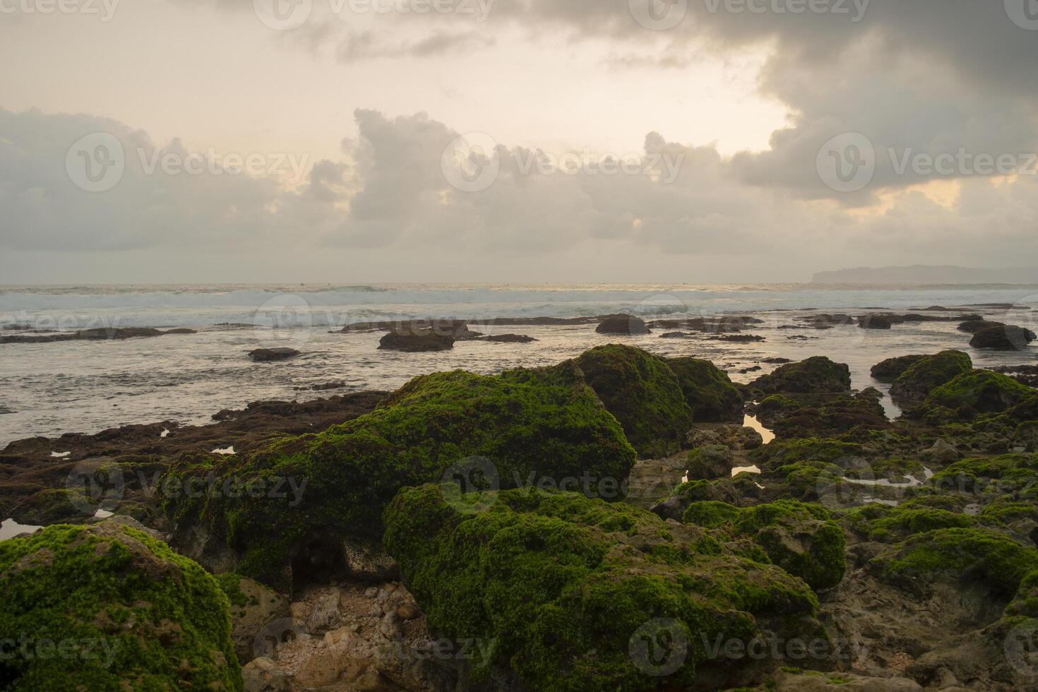 Mossy rocks on the beach in the afternoon. Seascape with low tide during sunset. photo