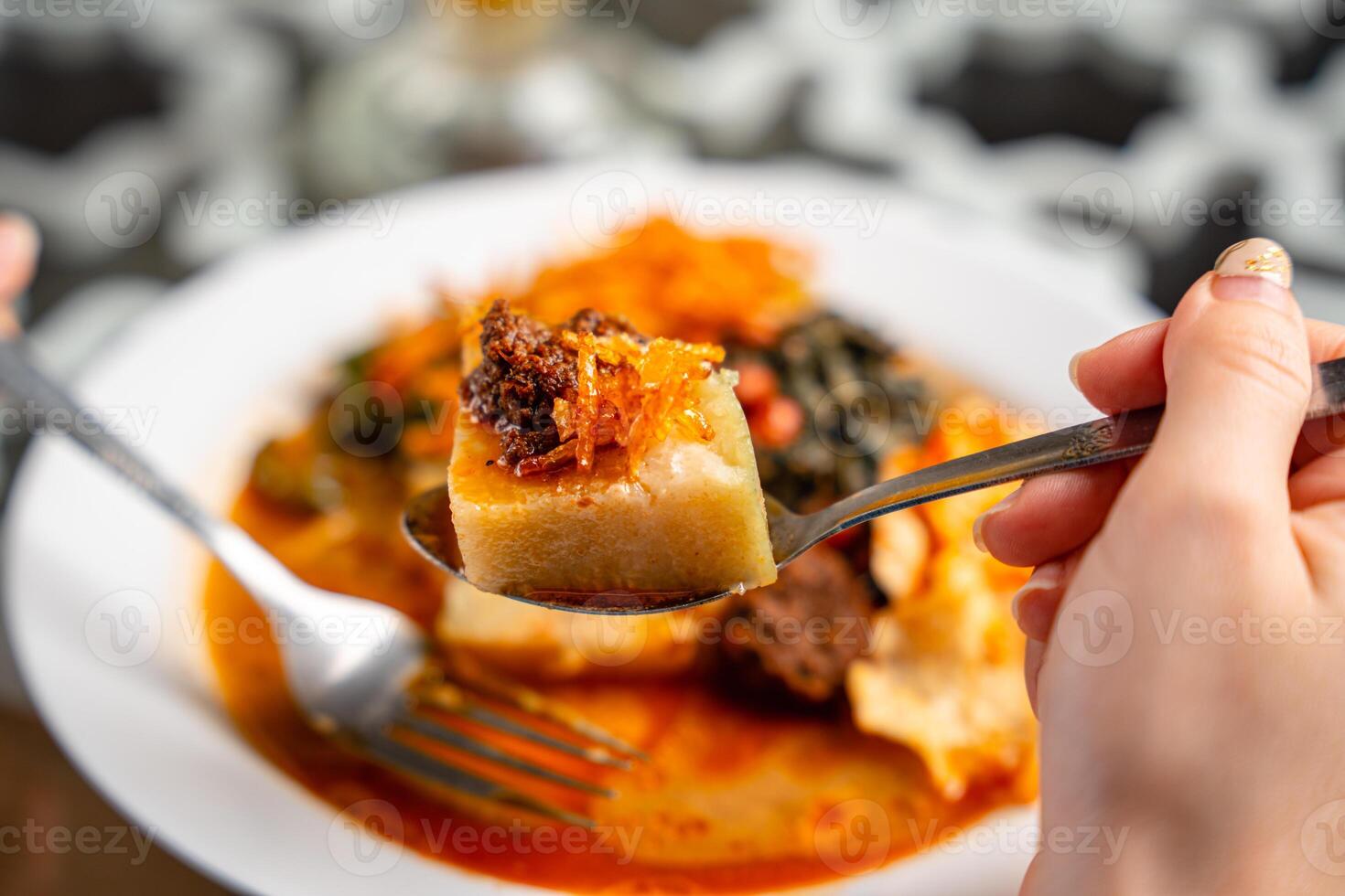 Lontong sayur or vegetable rice cake is an Indonesian traditional rice dish made of pieces of lontong served in coconut milk soup with shredded chayote, tempeh, tofu, hard-boiled egg, sambal, rendang photo
