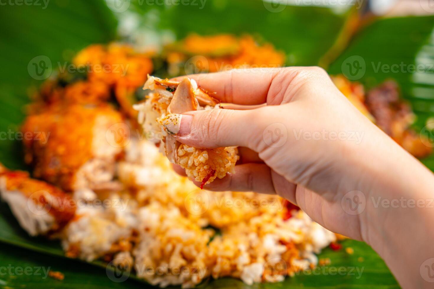 Indonesian padang food or nasi bungkus with padang fried chicken or Ayam goreng padang photo