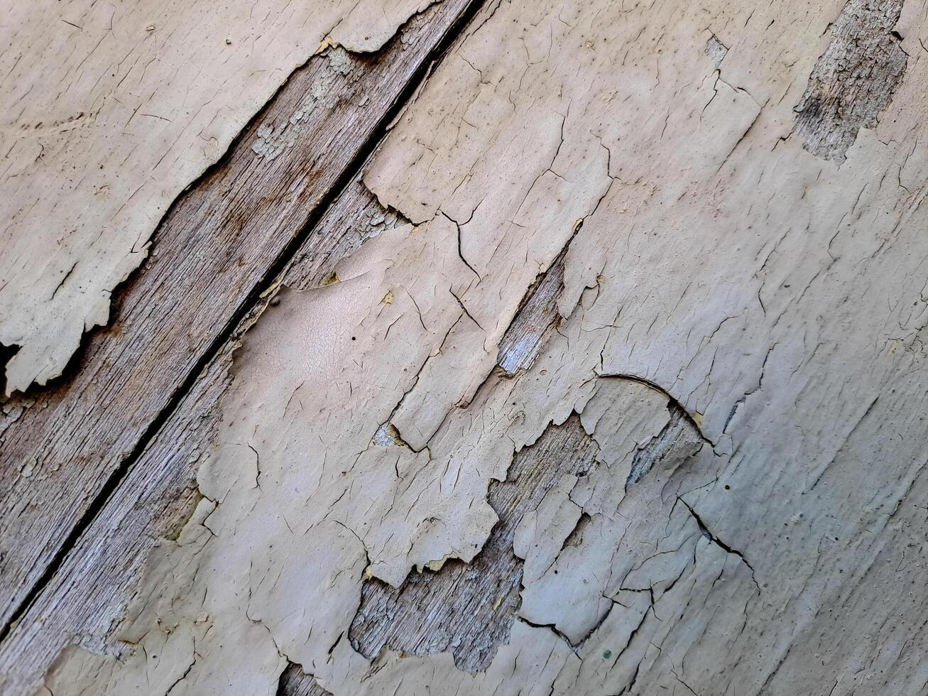 a weathered wooden surface with peeling white paint. The texture is rough and uneven, with visible cracks and chips photo
