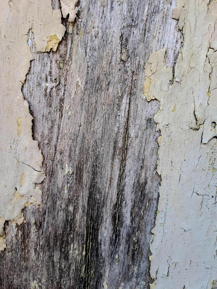 a weathered wooden surface with peeling white paint. The texture is rough and uneven, with visible cracks and chips photo