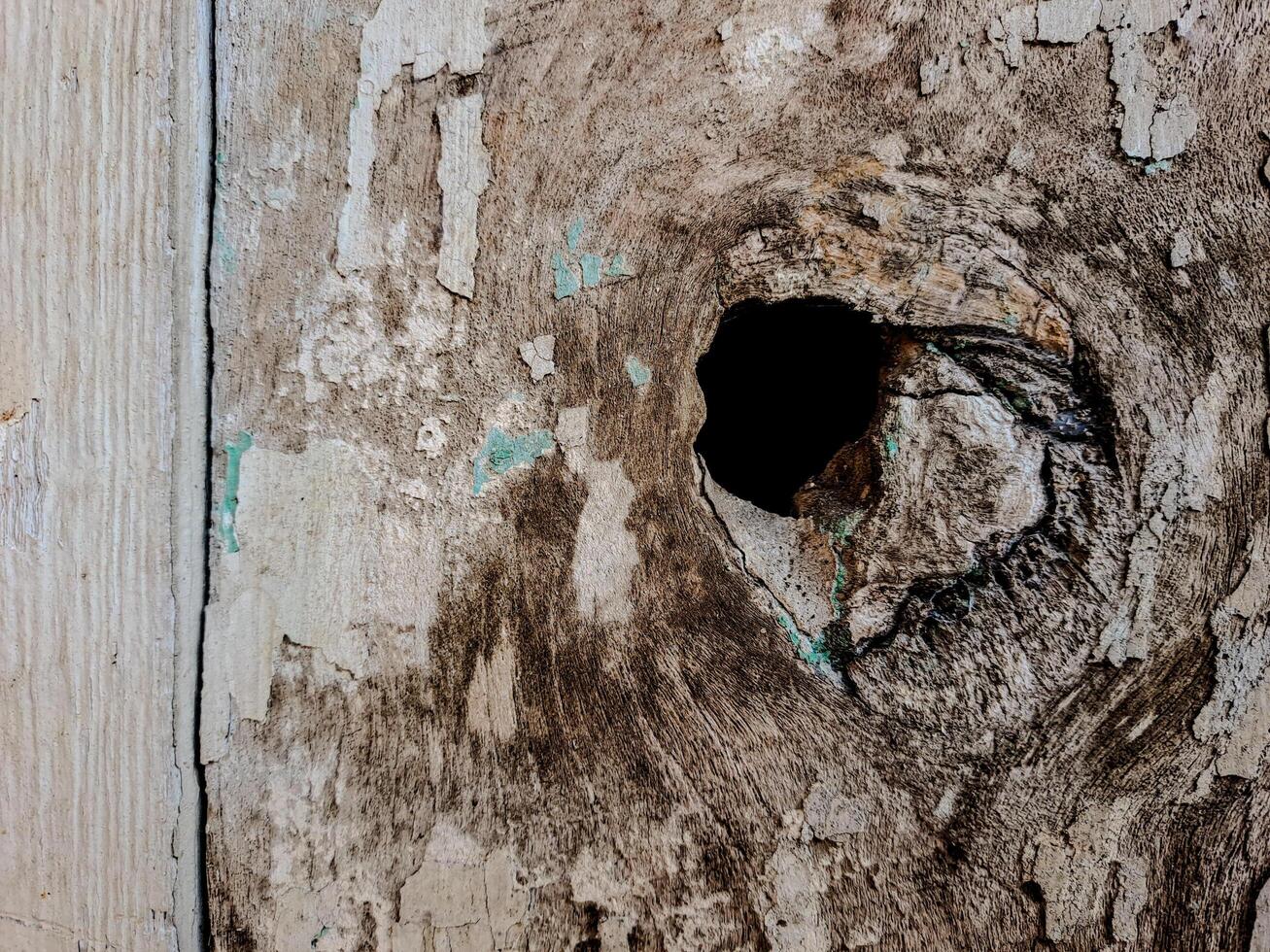 Weathered Wood Planks photo