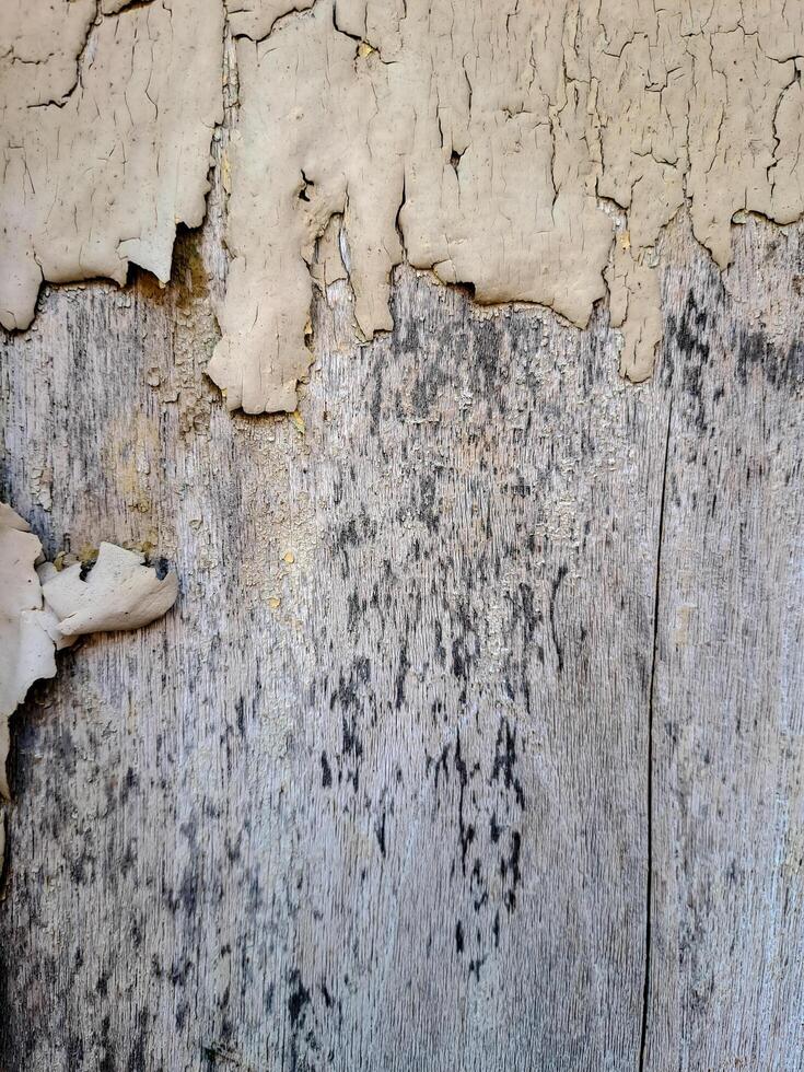 a weathered wooden surface with peeling white paint. The texture is rough and uneven, with visible cracks and chips photo