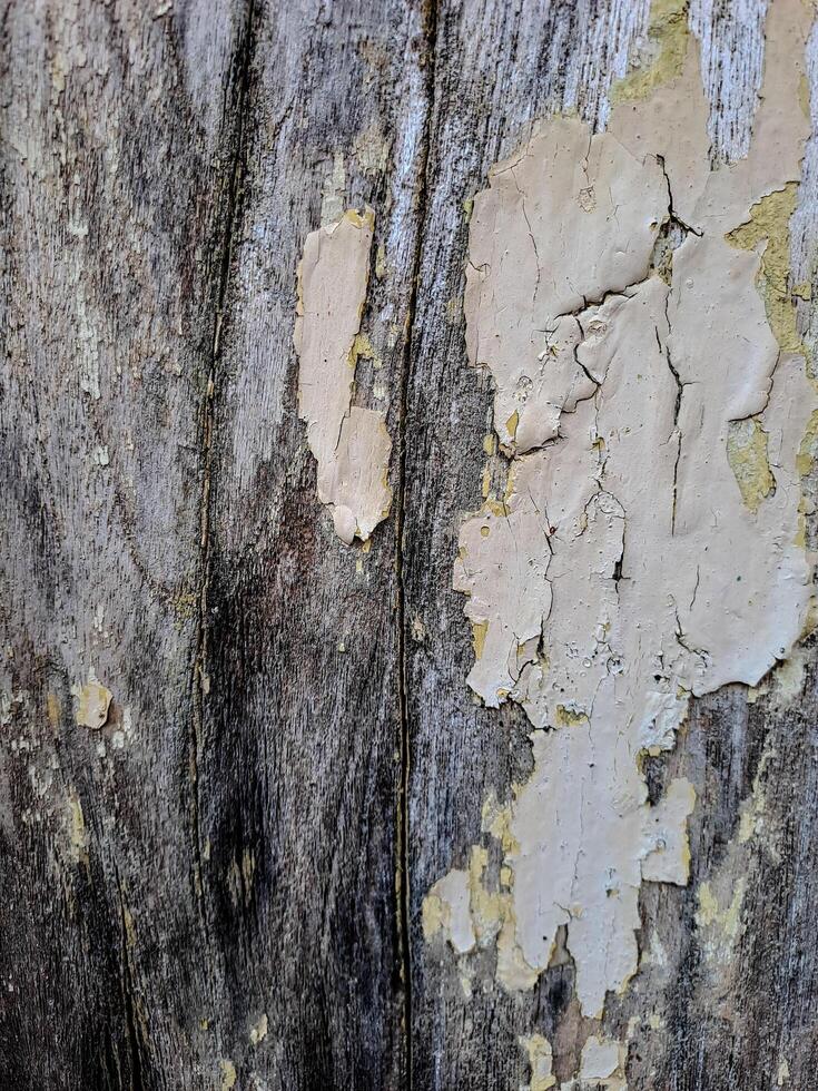 a weathered wooden surface with peeling white paint. The texture is rough and uneven, with visible cracks and chips photo
