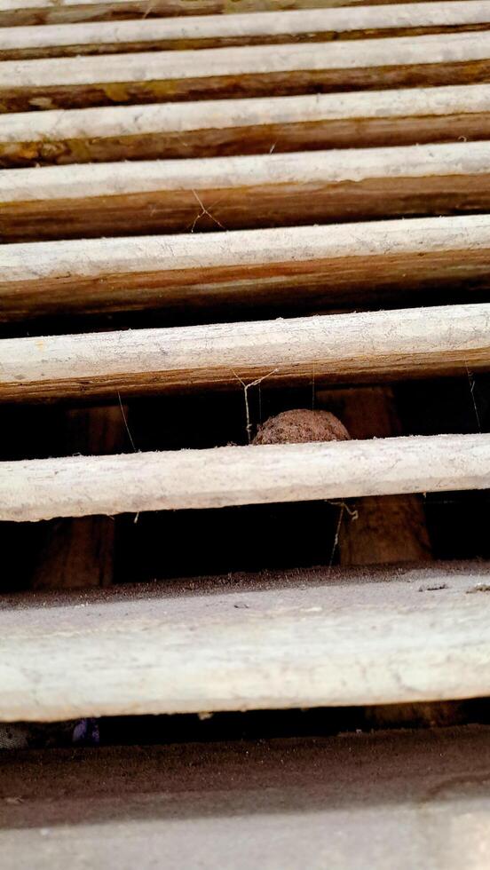features a series of rusty wooden slats with a hidden object nestled between them photo