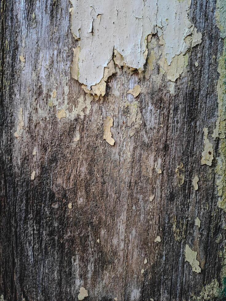 a weathered wooden surface with peeling white paint. The texture is rough and uneven, with visible cracks and chips photo