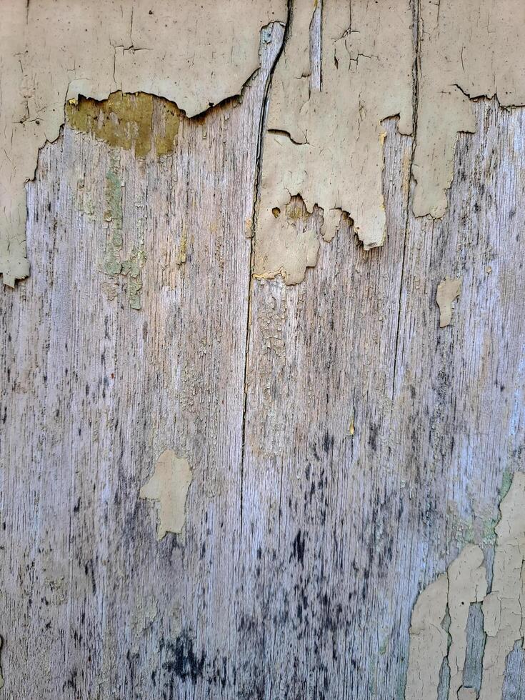 a weathered wooden surface with peeling white paint. The texture is rough and uneven, with visible cracks and chips photo