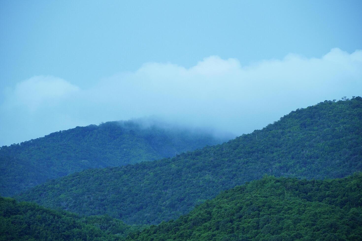 The mountains in the rainy season are lush and green with clouds covering the rain in the morning. photo