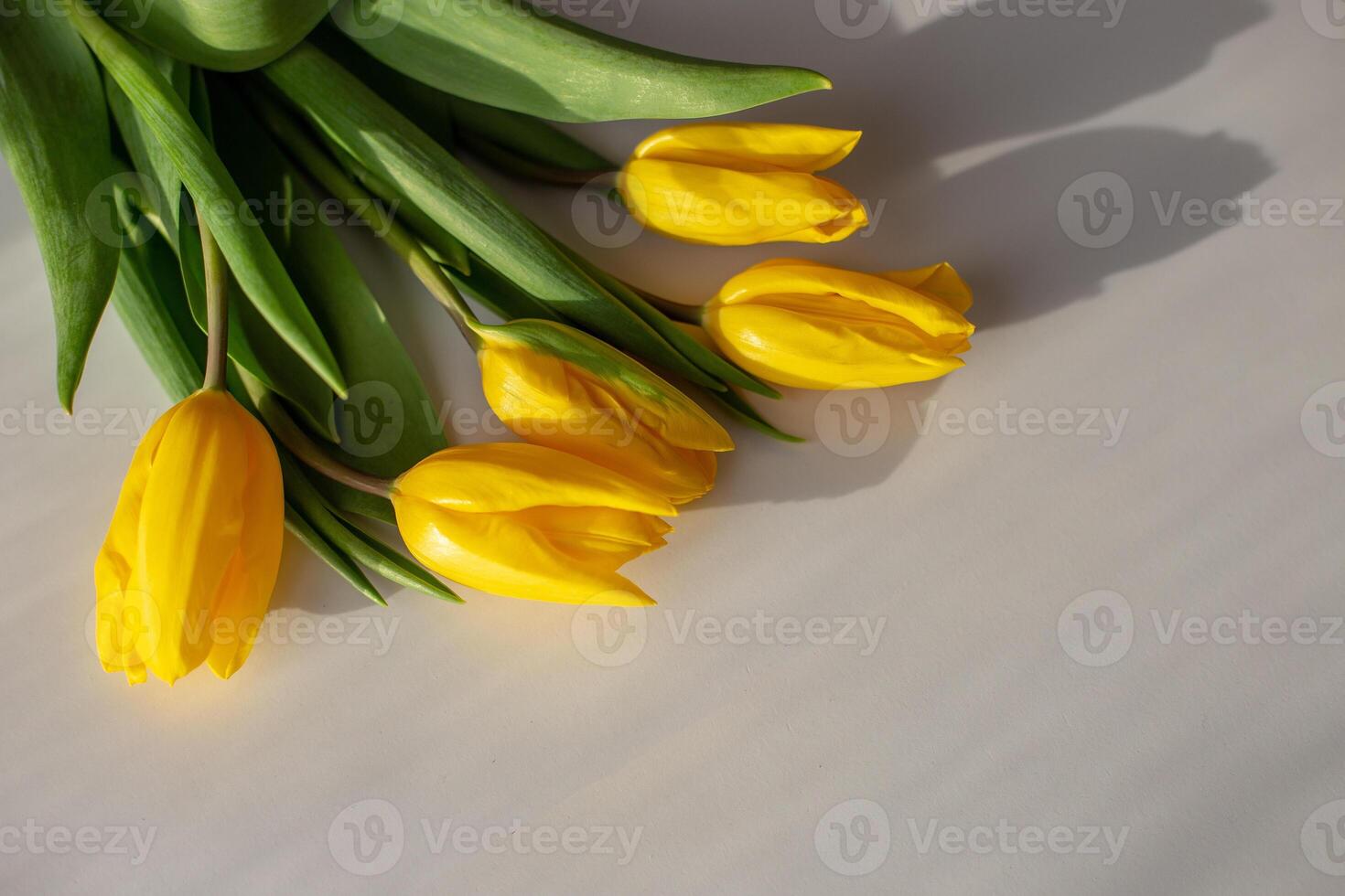 A bouquet of yellow tulips lies in the upper left corner on a table photo