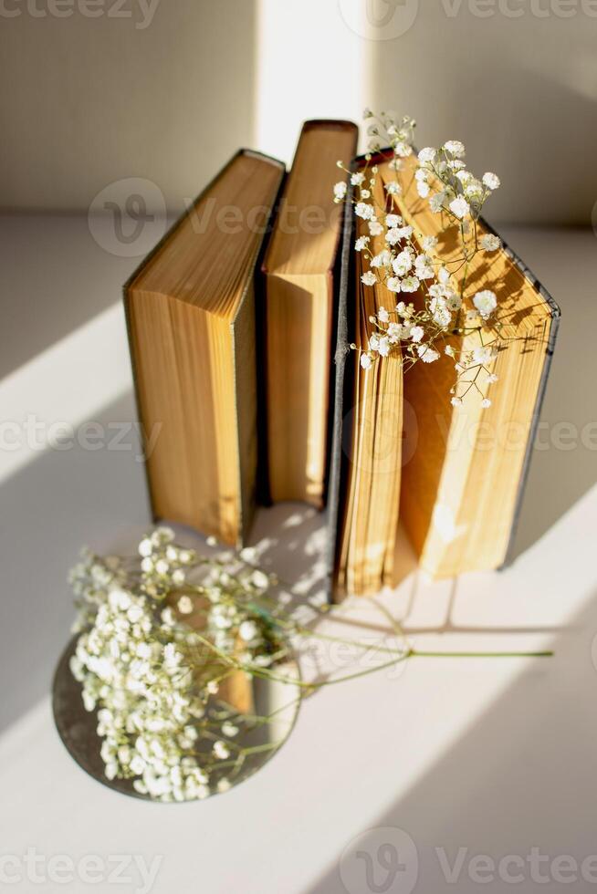 three old book with white gypsophila flowers on table in sun light photo