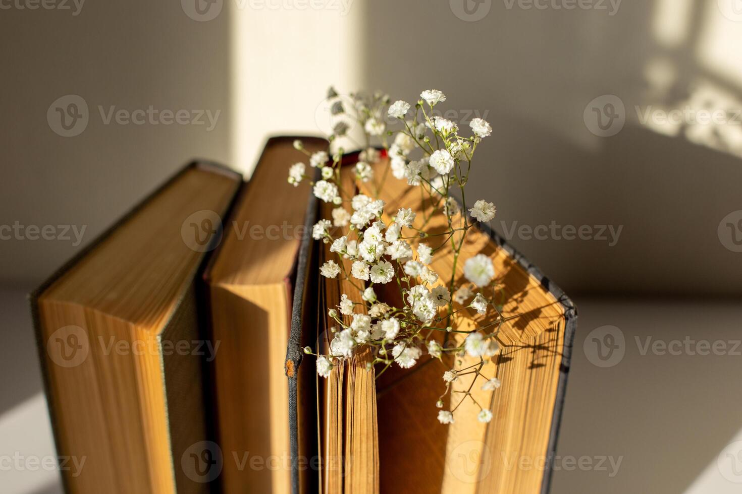 Close up three old book with white gypsophila flowers on table in sun light photo