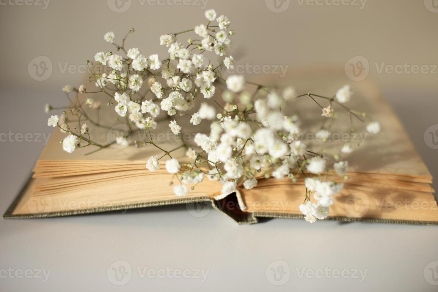 Opened old book with white gypsophila flowers on table close-up photo