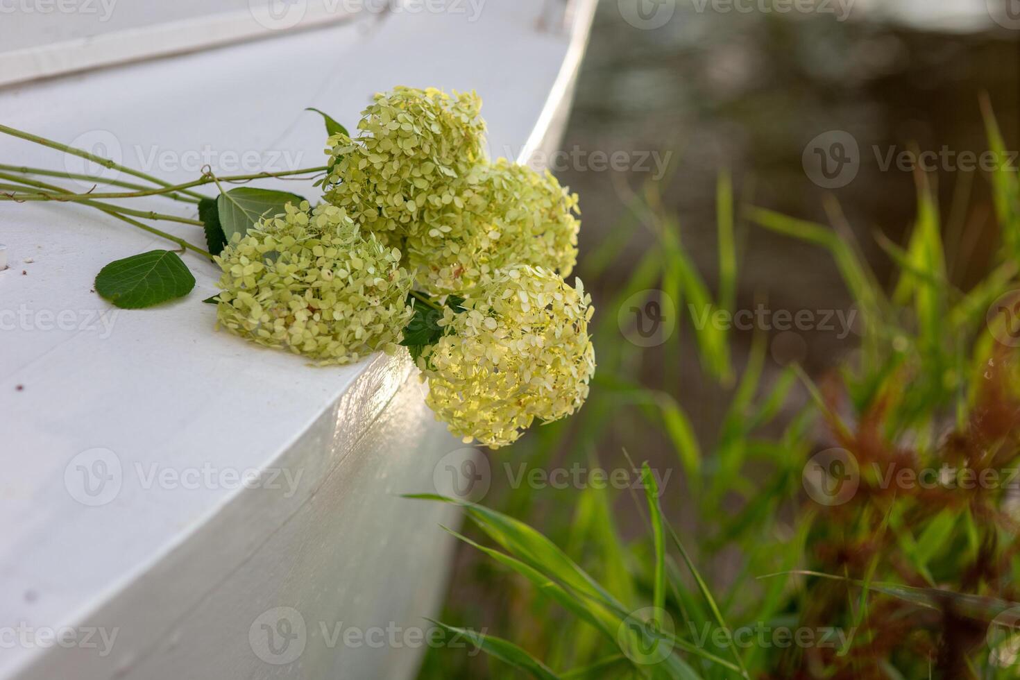 a bouquet of white hydrangea flowers in the morning garden, lie on the stern of a white boat photo