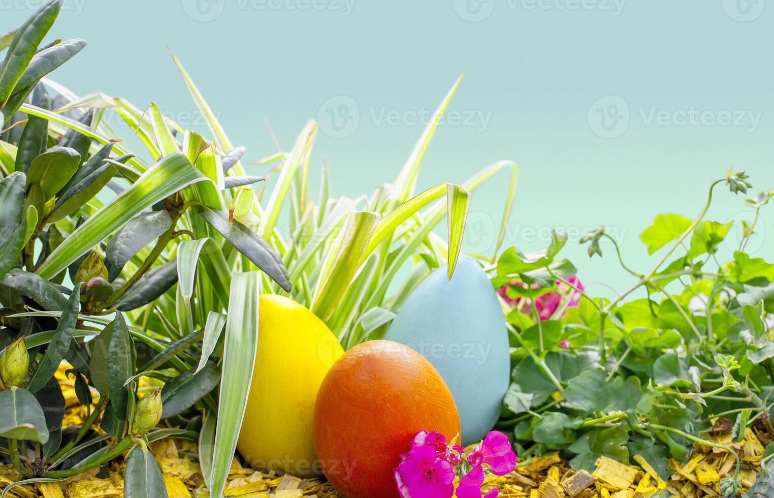 Three large multicolored wooden eggs are lying on a flower bed, among flowers and grass. photo