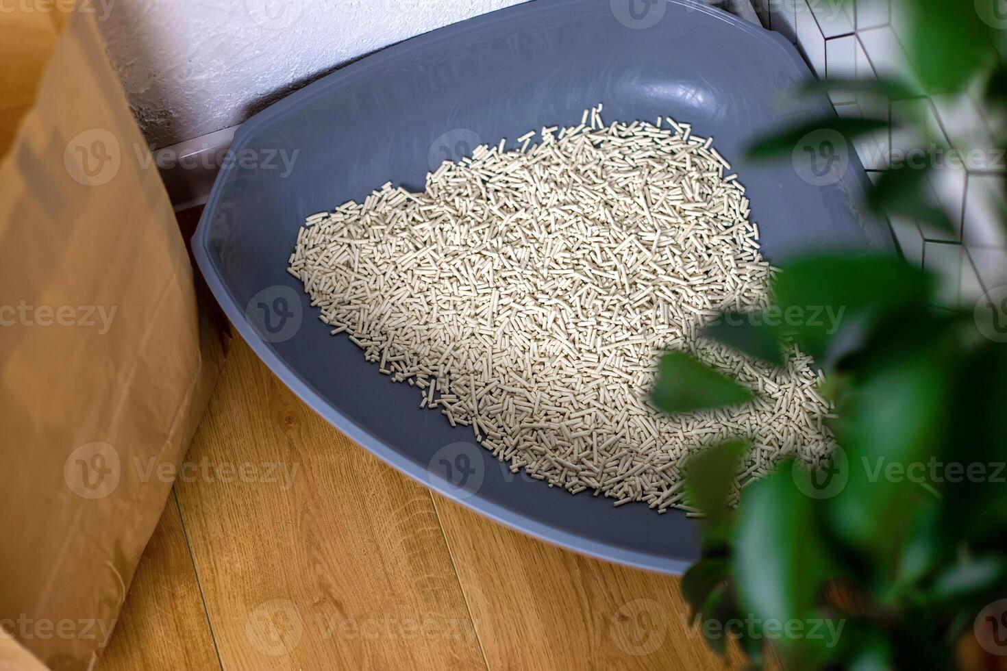 Close up plastic corner cat tray with light filler granules, indoors photo