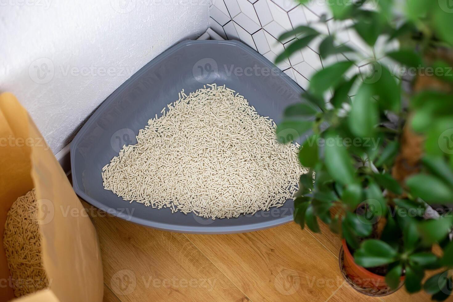 Gray plastic corner cat tray with light filler granules, indoors photo