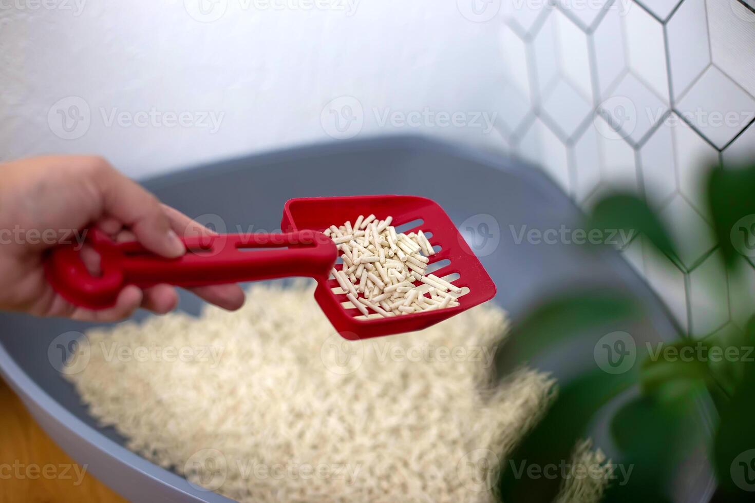 A womans hand with a red spatula with a bunch of granules of light light natural cat litter, photo