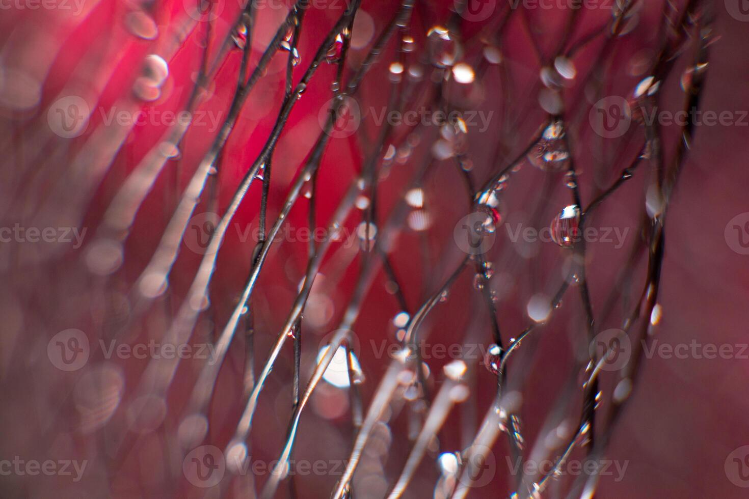 on a black mesh water drops on a blurred red background. photo
