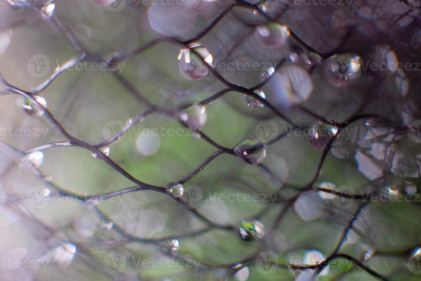 drops of water on a black mesh on a blurred green background. Abstract background photo
