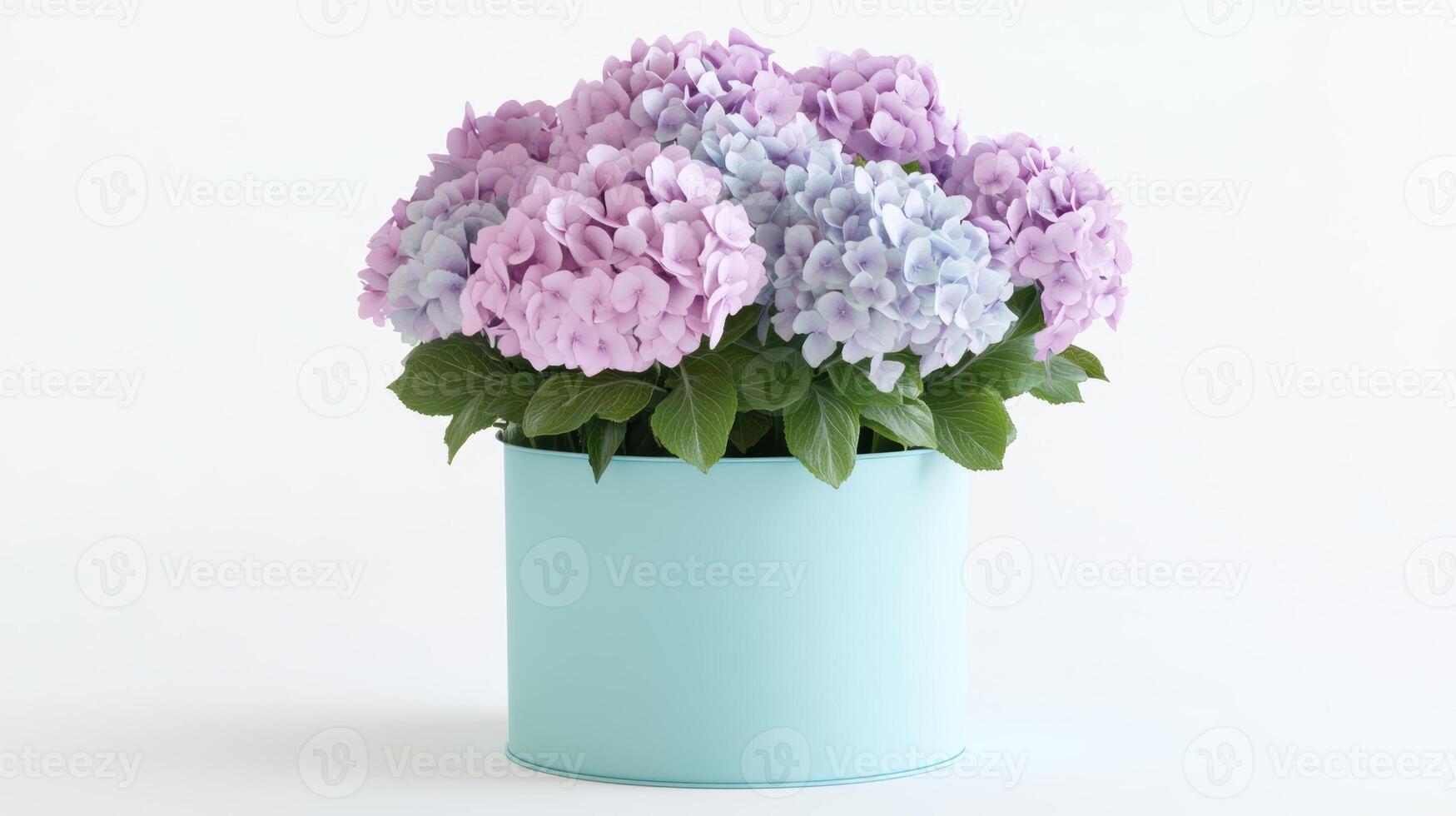 Bouquet of pastel hydrangeas in a blue container, ideal for decor or special occasions. photo
