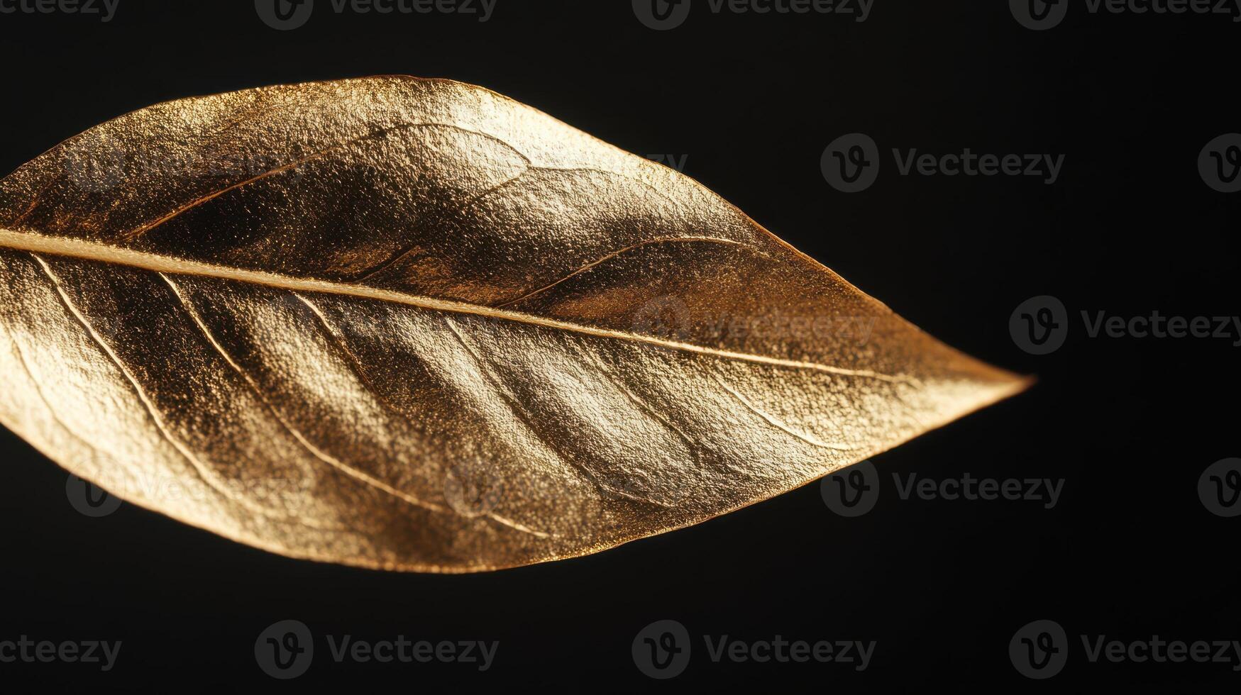 Close up view of a single gold leaf against a dark backdrop. photo