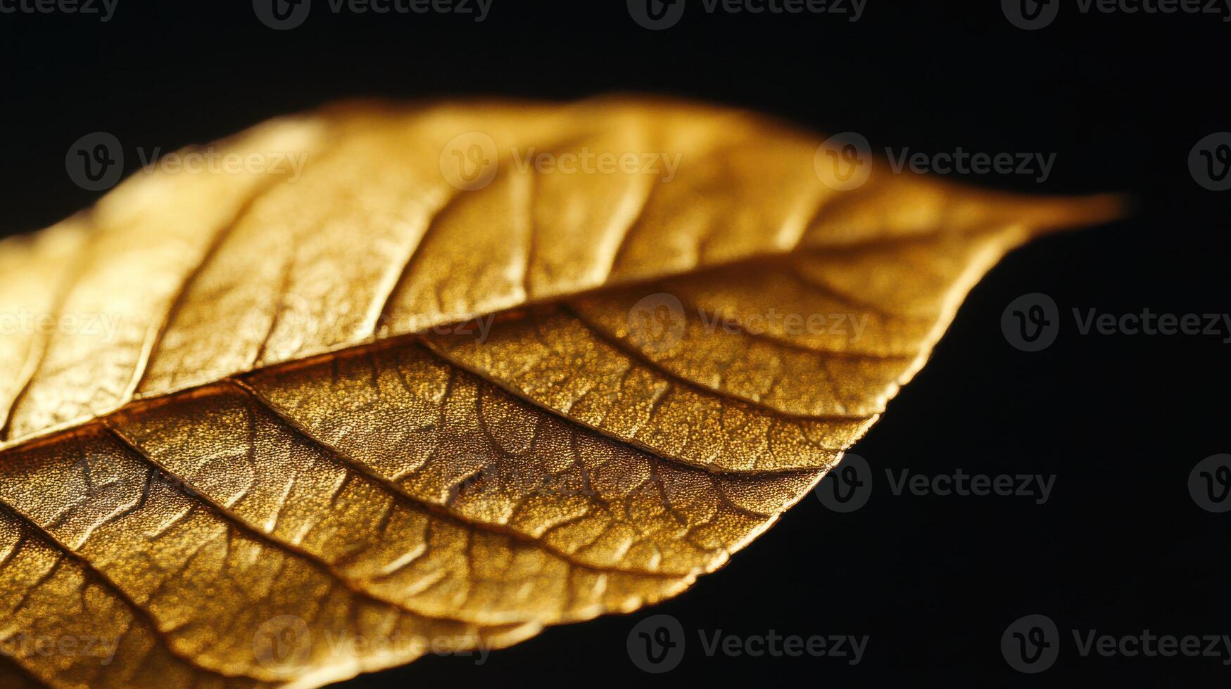 Close up view of a single gold leaf against a dark backdrop. photo